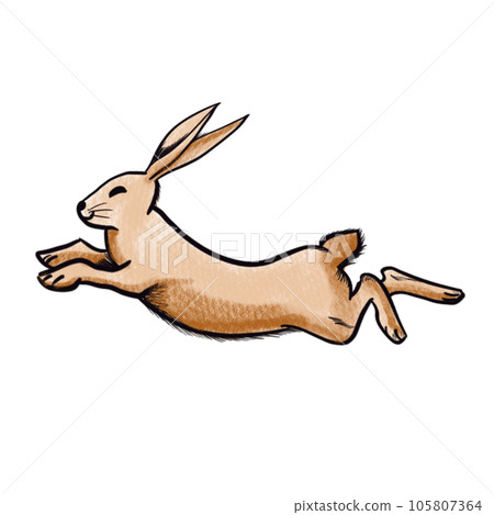 rabbit drawing png image-插圖素材 [105807364] - PIXTA圖庫