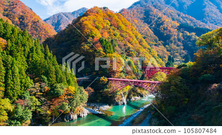 秋天的黑部峽谷（黑部川和山彥橋/新山彥橋） 105807484