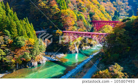 秋天的黑部峽谷（黑部川和山彥橋/新山彥橋） 105807493