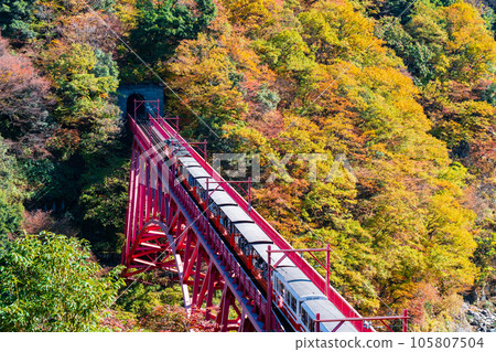 Kurobe Gorge in Autumn: Torokko Train Running on Shinyamabiko Bridge Kurobe Gorge in Autumn: Torokko Train Running on Shinyamabiko Bridge 105807504