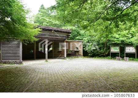 Hakone Town Shirayuridai Enchi Wild Bird Forest Observation Deck 105807633