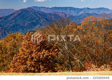 Mt. Gongen and the Daibosatsu mountain range seen from Mt. Jinba in autumn colors Mt. Gongen and the Daibosatsu mountain range seen from Mt. Jinba in autumn colors 105809449