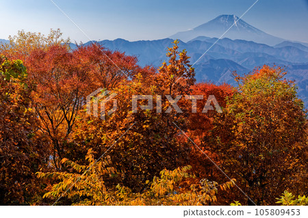 Mt. Fuji seen from Mt. Jinba in autumn colors Mt. Fuji seen from Mt. Jinba in autumn colors 105809453
