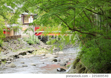 靜岡縣修善寺溫泉 105809540