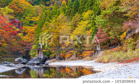 雨澤谷(秋季) 雨澤谷(秋季) 105809693
