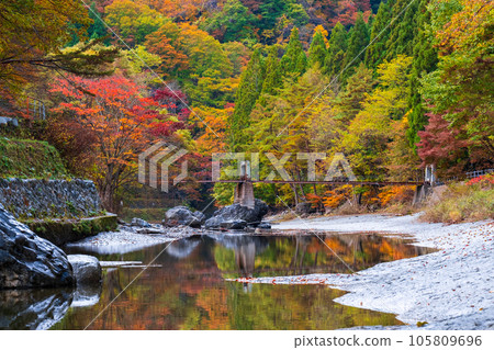 Yuze Valley (Autumn) 105809696