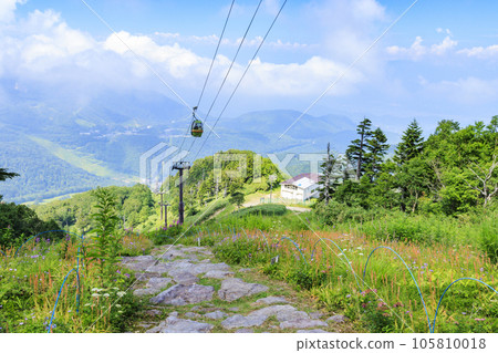 夏季高山植物盛開的東立山高山植物園 105810018