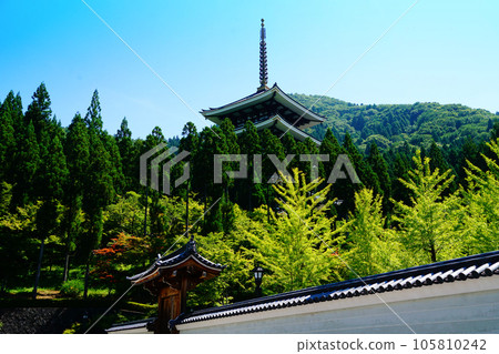 Daishizan Seidaiji Temple Echizen Great Buddha Five-storied Pagoda 105810242