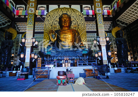 大志山青大寺越前大佛 大志山青大寺越前大佛 105810247