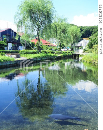 Shizuoka Prefecture Izumi no Sato Yusui Park July 105810773