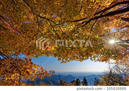 The view of the Kanto Plain and the autumn foliage of Mt. Takao and Mt. Kagenobu The view of the Kanto Plain and the autumn foliage of Mt. Takao and Mt. Kagenobu 105810989