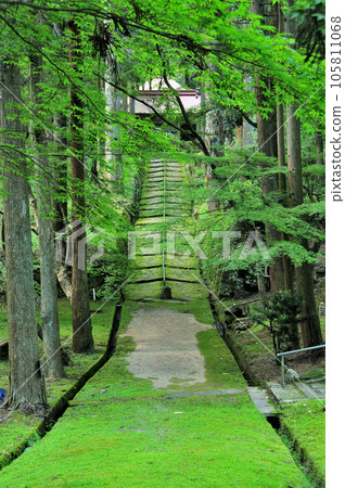 Kinshoji Temple (approach) [Ritto City, Shiga Prefecture] 105811068