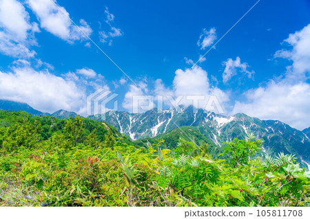 [Mountain material] Sea of clouds and Shirouma Sanzan seen from Mt. Kotomiyama [Nagano Prefecture] 105811708