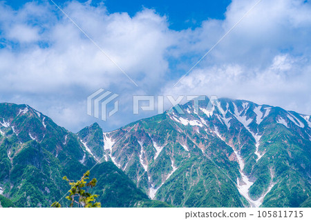 [山素材]從琴宮山看到的雲海和白馬三山【長野縣】 105811715