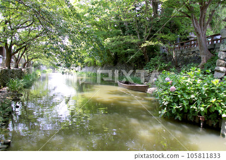 近江八幡護城河 105811833