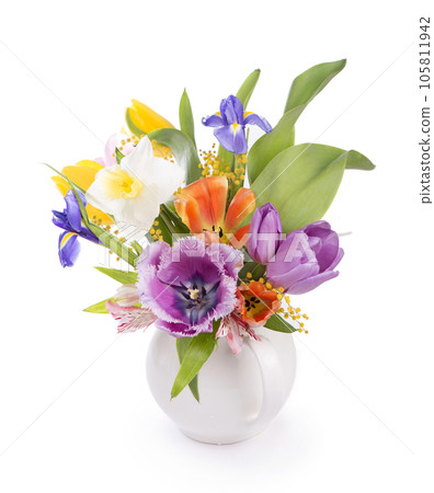 spring flowers, daffodils, tulips, hyacinths, irises and mimosa isolated on a white background 105811942