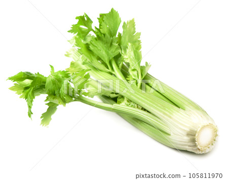 Raw green fresh leaves and stems of celery isolated on white background Raw green fresh leaves and stems of celery isolated on white background 105811970