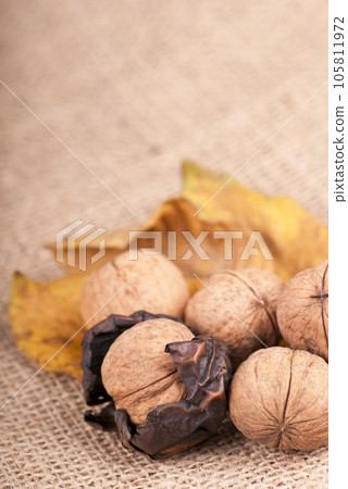 group of big walnuts with dry leaves on burlap on a wooden background 105811972