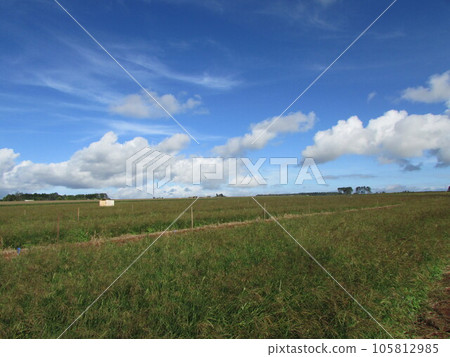 Australia Australia 105812985
