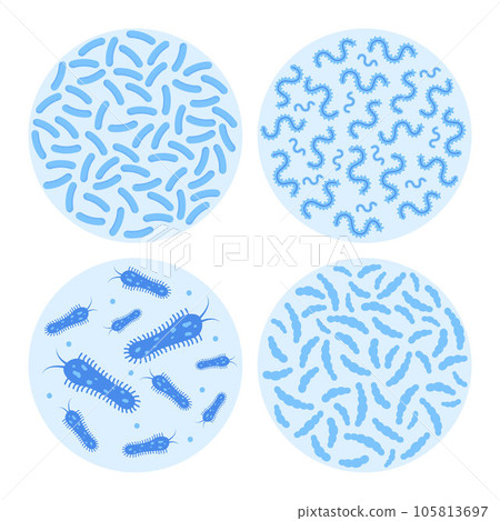 Bacterial flora in circle set. Different bacteria, pathogenic microorganisms and normal bacterial flora of humans. Vector illustration. 105813697