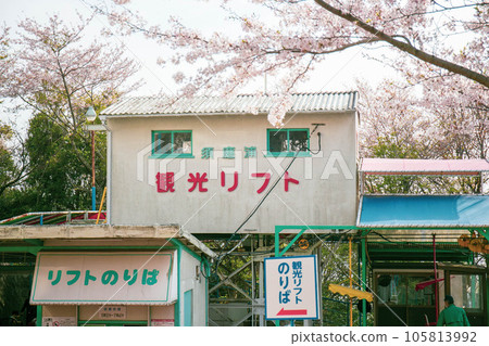 須磨浦三條遊樂園櫻花盛開 須磨浦三條遊樂園櫻花盛開 105813992