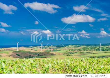 (Wakkanai, Hokkaido) Summer Blue Sky Yurus Soya Misaki Wind Farm (Wakkanai, Hokkaido) Summer Blue Sky Yurus Soya Misaki Wind Farm 105814540