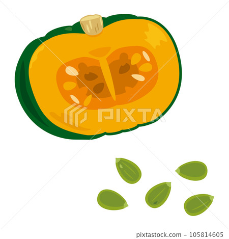 南瓜和南瓜籽 105814605