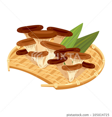 Oyster mushrooms piled up in a bamboo colander 105814725