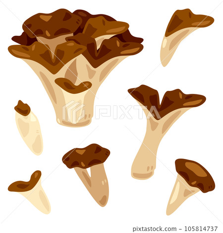 Dancers Dancers 105814737