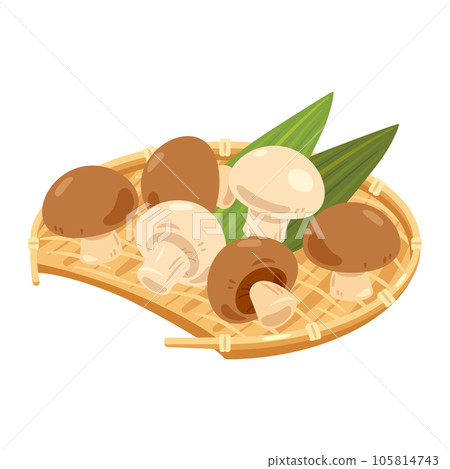 Mushrooms served in a bamboo colander Mushrooms served in a bamboo colander 105814743