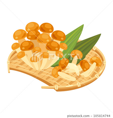 滑子菇盛在竹漏勺中 滑子菇盛在竹漏勺中 105814744