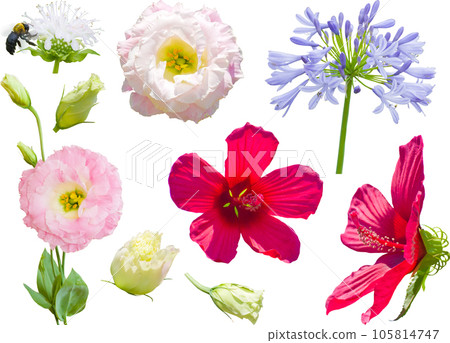 Cutout material set - summer flowers Cutout material set - summer flowers 105814747