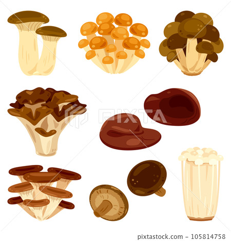 Mushroom set 105814758