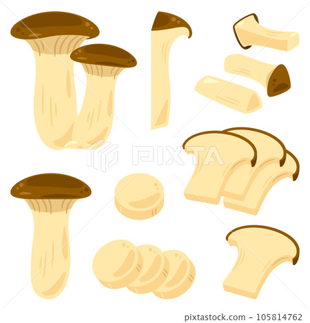king oyster mushroom 105814762