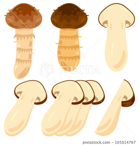 松茸 松茸 105814767