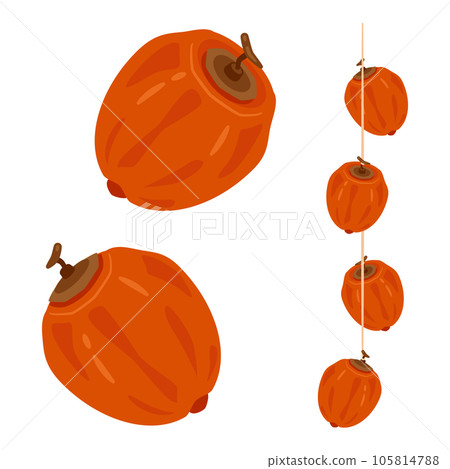 Dried persimmon Dried persimmon 105814788
