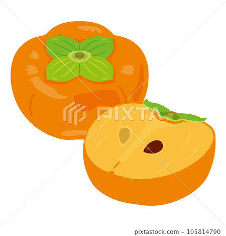 帶有種子的柿子橫截面 105814790