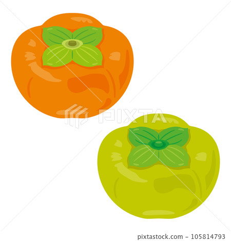 persimmon persimmon 105814793