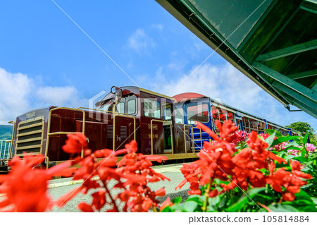 Scenic view of the trolley train and the flower bed inside Nakamatsu Station "Minami Aso Railway, opening of all lines and resumption of operation" Scenic view of the trolley train and the flower bed inside Nakamatsu Station "Minami Aso Railway, opening of all lines and resumption of operation" 105814884