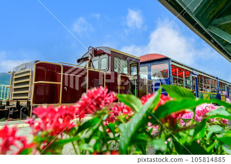 中松站內的無軌電車和花壇景觀“南阿蘇鐵道全線開通、恢復運行” 105814885