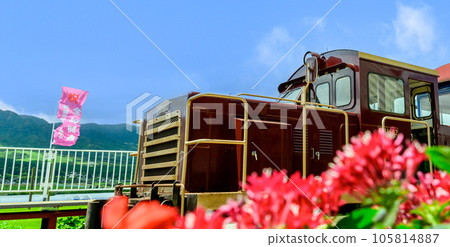 中松站內的無軌電車和花壇景觀“南阿蘇鐵道全線開通、恢復運行” 105814887