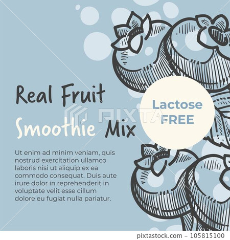 Real fruit smoothie mix, lactose free, exotic 105815100