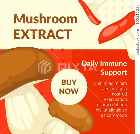 Mushroom extract, daily immune support banner Mushroom extract, daily immune support banner 105815283