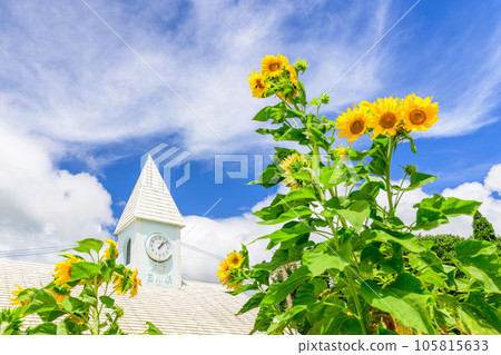 阿蘇白河站（阿蘇白河站）周邊風景“南阿蘇鐵道全線開通並恢復運行” 105815633
