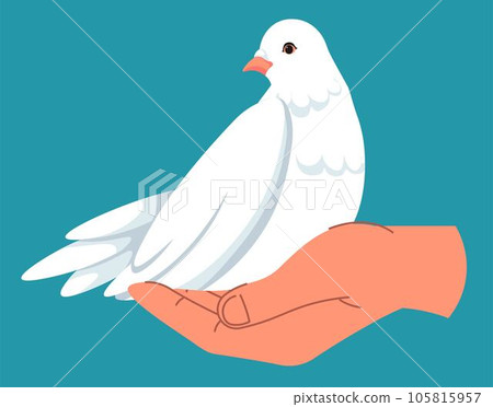 Dove in hand, pigeon symbol peace and tranquility 105815957
