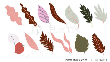Autumn leaves, foliage and branches leafage vector Autumn leaves, foliage and branches leafage vector 105816031