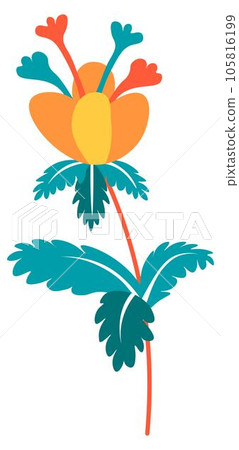 Wildflower in blossom, blooming plant with leaves 105816199