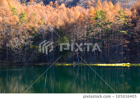 Autumn Mishaka Pond Autumn Mishaka Pond 105816405