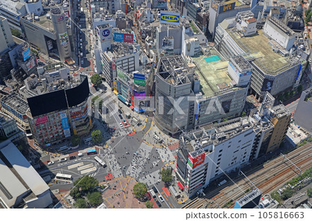 The streets of Shibuya The streets of Shibuya 105816663