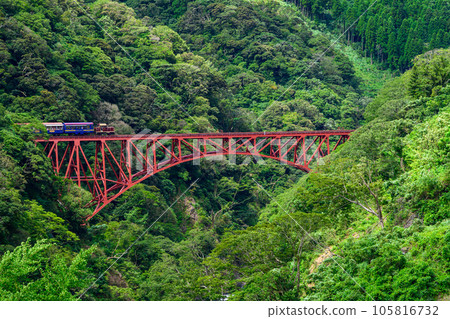 新綠季節運營第一白河大橋的無軌電車“全線開通並恢復運行” 105816732